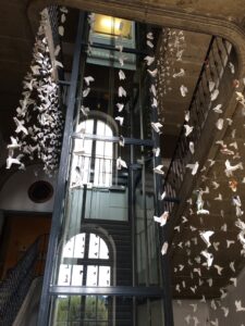 INSTALL- IMG_3508